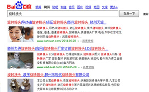 百度搜索結果中前面的圖片是怎么做到的？
